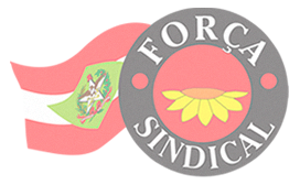 fsindical-sc.org.br